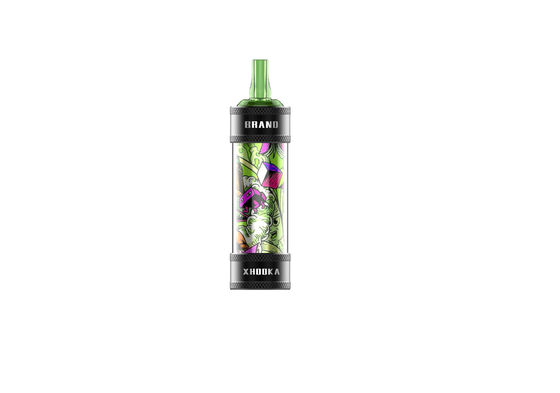 Die neueste wechselbare 10 ml Wasserpfeife Shisha