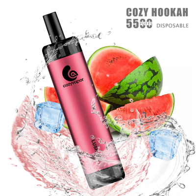Wiederaufladbarer 5500 Puffs Gemütlicher Hookah 5500 Puffs Einweg-Vape-Stift
